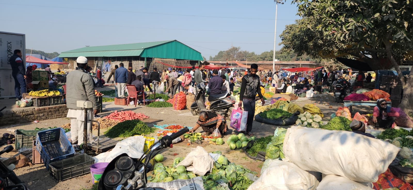 1b66df18-6d16-47d5-b206-730e91884bc9