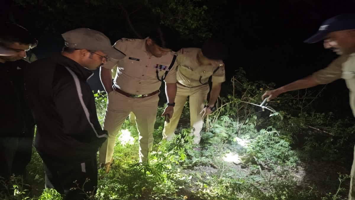 1200-675-23851513-thumbnail-16x9-pick-n