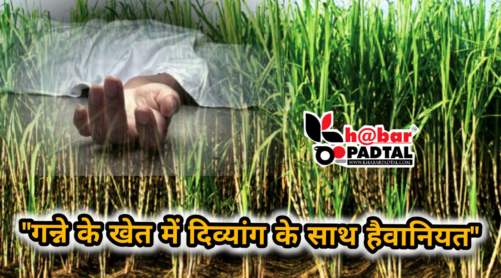 InShot_20250308_143944542