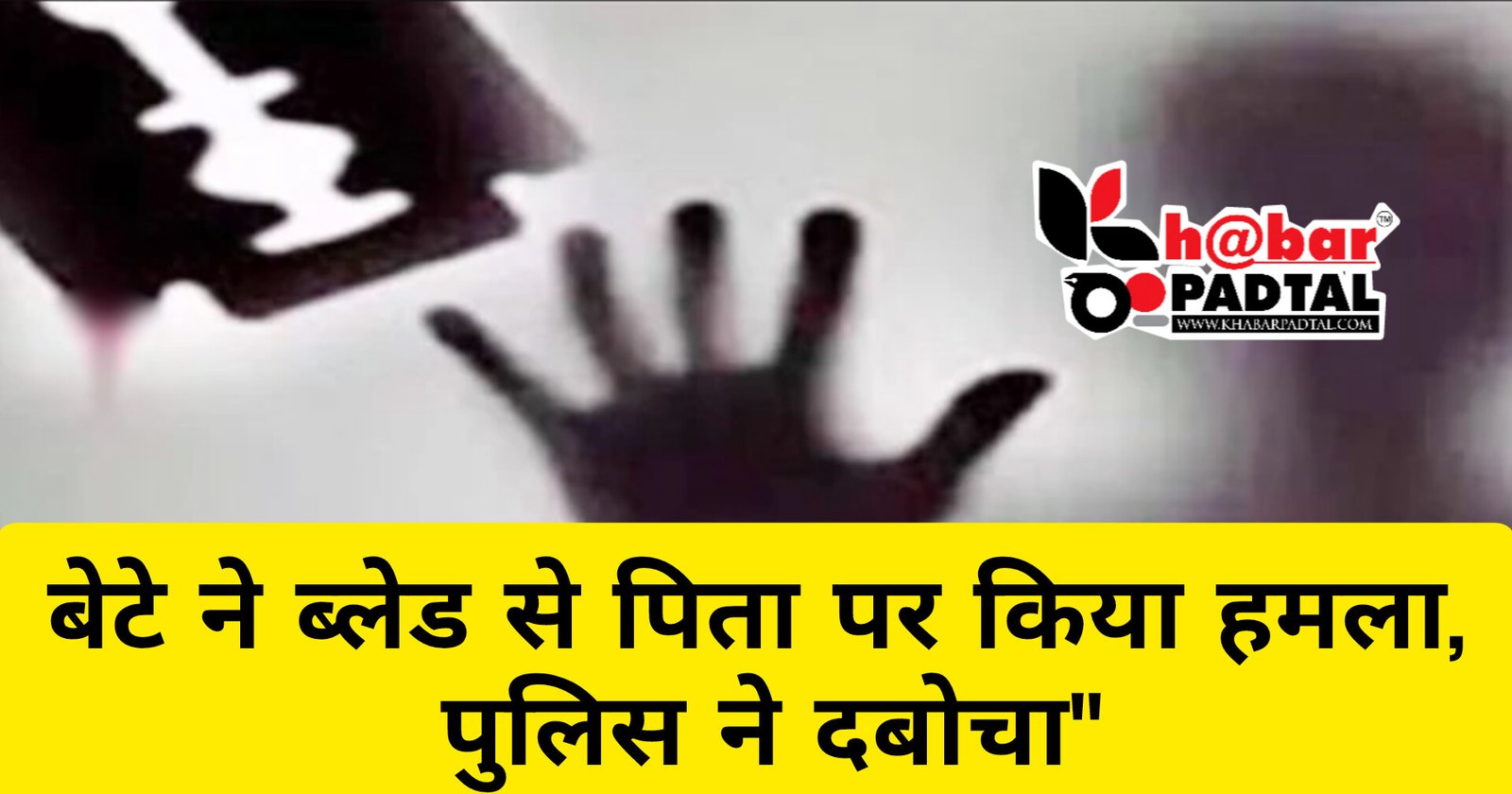 InShot_20250310_114951423