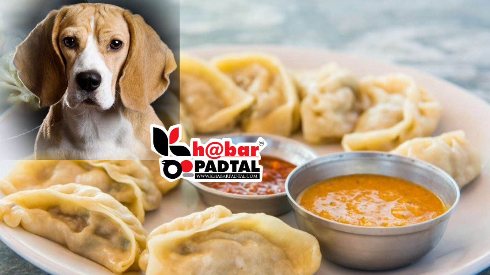 InShot_20250318_204309819