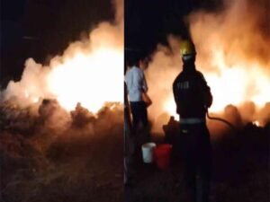 Untitled-1 copy.jpg 21